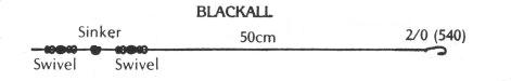 Blackall Rig - Hervey Bay