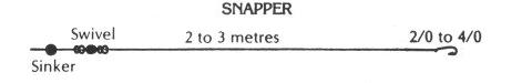 Snapper Rig - Hervey Bay